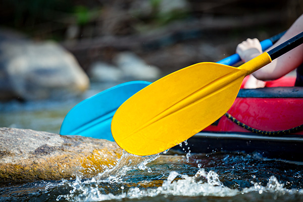 Rafting paddles.